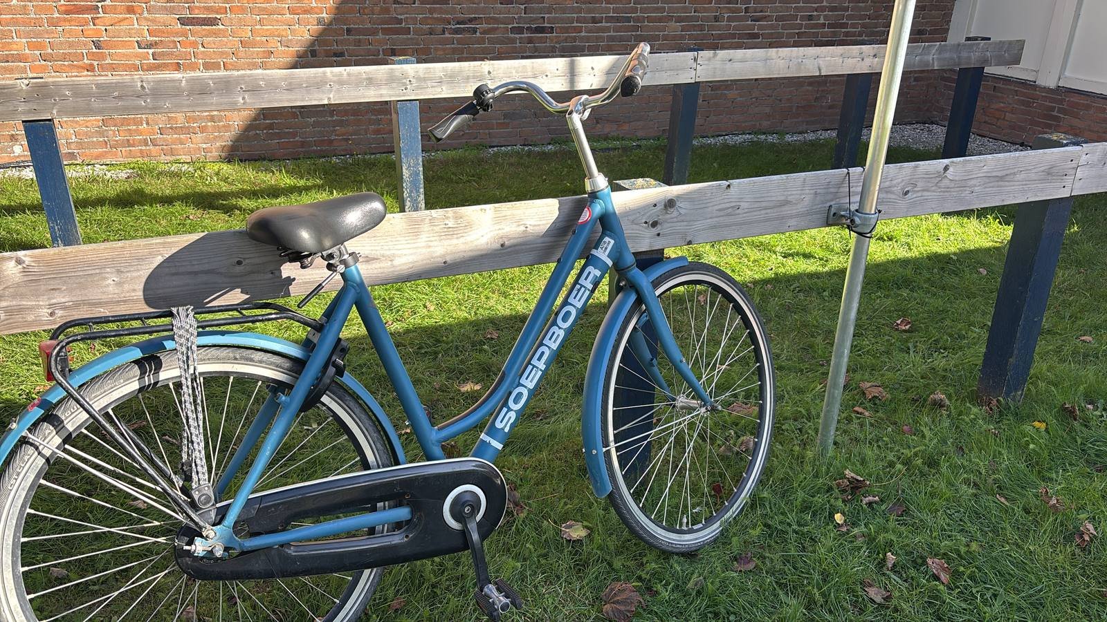 A blue Dutch bicycle with no hand brakes leaning against a wooden fence on Schiermonnikoog